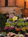 Flower market in Campo di Fiori.